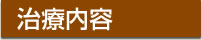 治療内容